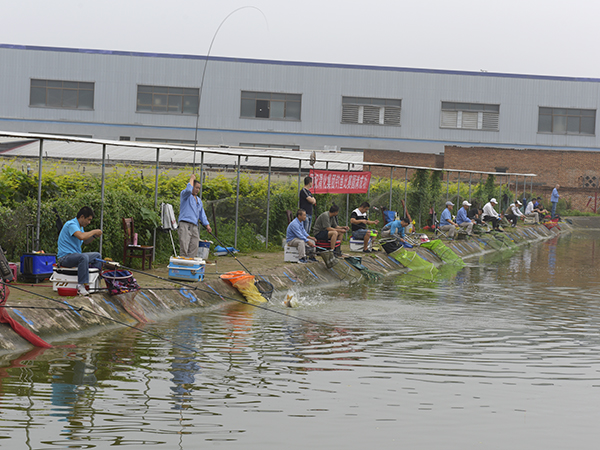 1595830922496364.jpeg _LZZ0471.JPG