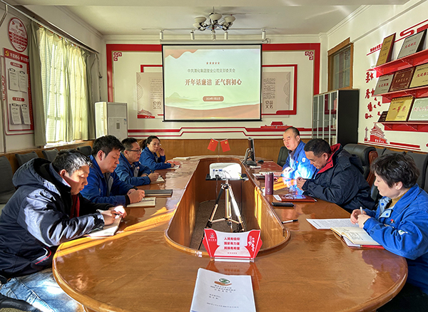 1月22日上午，塑業(yè)黨支部組織開展“開年話廉潔 正氣潤初心”主題黨日活動   600.jpg